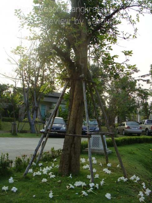 resizeDSC09927.jpg
